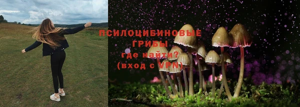 MESCALINE Богородицк